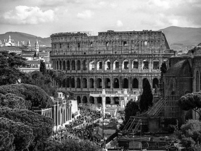 20191013_9300_bw copy.jpg