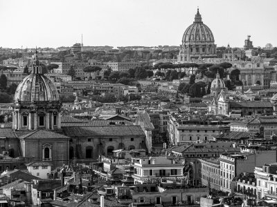 20191013_9445_bw copy.jpg