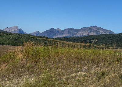 20190828_6841 copy.jpg