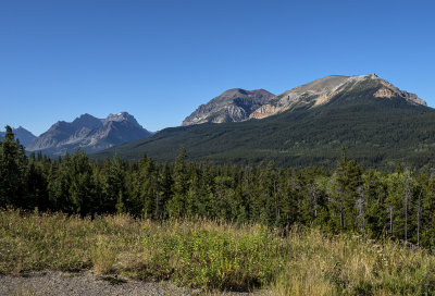 20190828_6894 copy.jpg