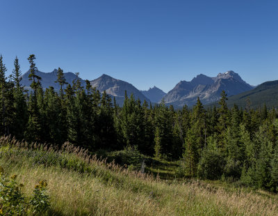 20190828_6950 copy.jpg