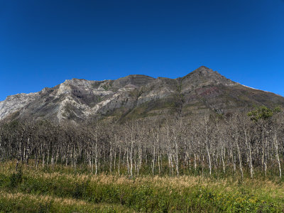 20190828_7026 copy.jpg