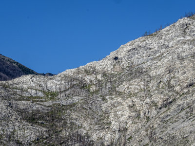 20190828_7187 copy.jpg