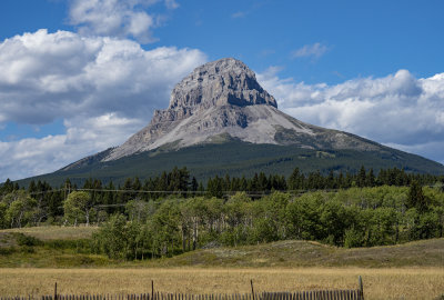 20190828_7450 copy.jpg