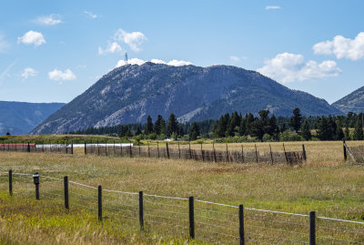 20190828_7465 copy.jpg