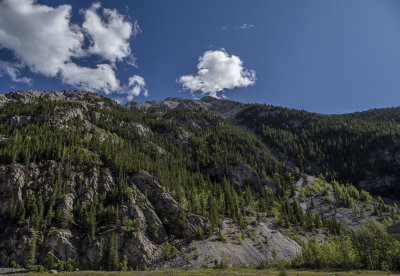 20190828_7555 copy.jpg