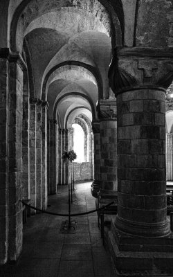5d_IMG_9922_bw copy.jpg