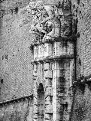 5d_IMG_2390_crop_bw copy.jpg