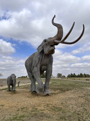 Lubbock Lake Landmark