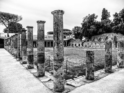 20210624_3921_bw copy.jpg