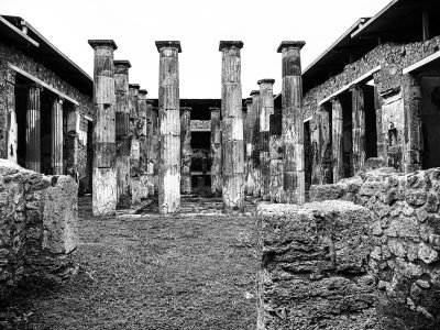 20210624_5267_bw copy.jpg