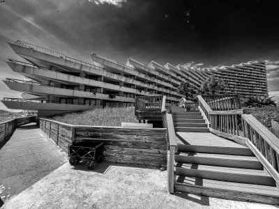 IMG_2138_bw copy.jpg
