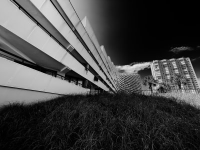 IMG_2141_bw copy.jpg