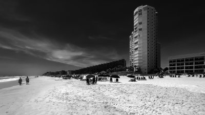 IMG_2211_bw copy.jpg