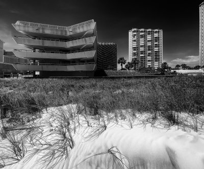 IMG_2217_bw copy.jpg