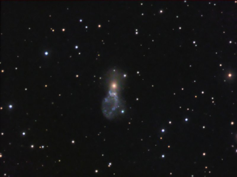 UGC 03730<br>(Arp 141)