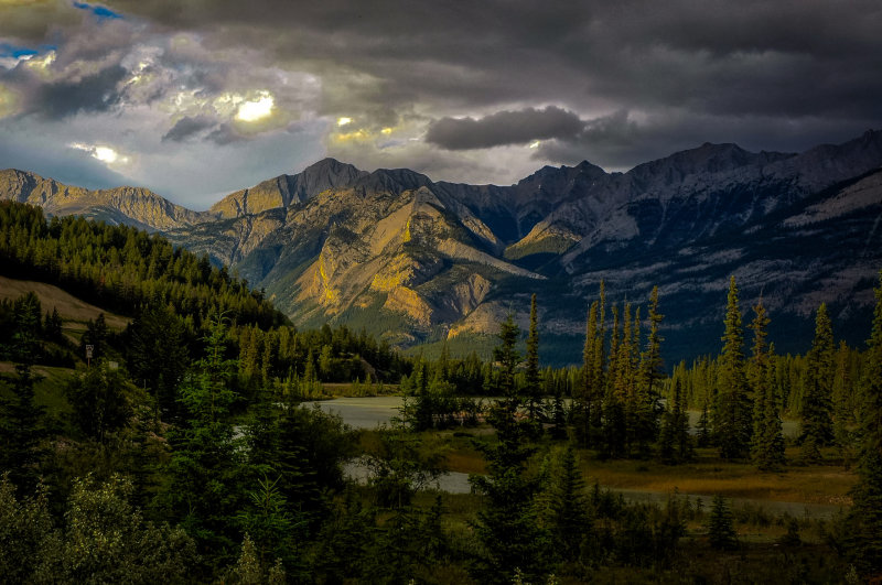 Landscapes
