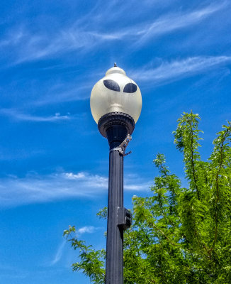 Roswell Streetlight in day time