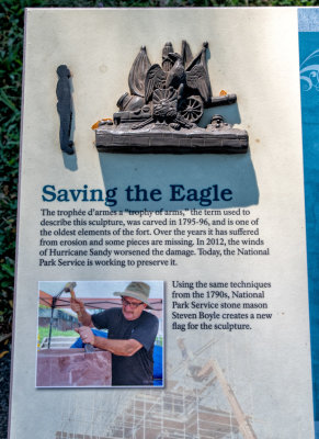 Saving the Eagle