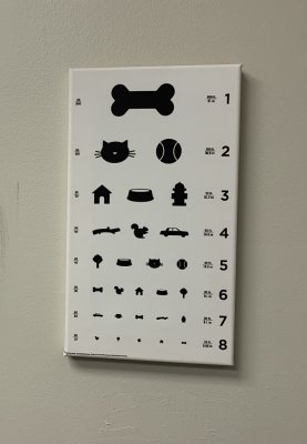 Vision Chart in Veterinary Opthalmologist treatment room 