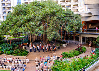 The United States Army Strings performing at the Hale Koa Hotel in Honolulu 