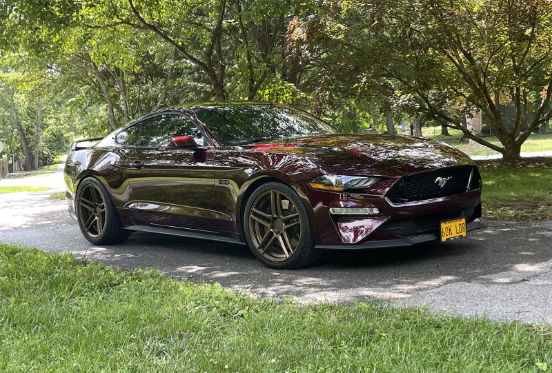 Crimson shadow 2 IMG_3842m1080.jpg