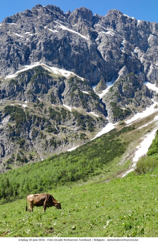 KWT_2016-06-07_187.jpg