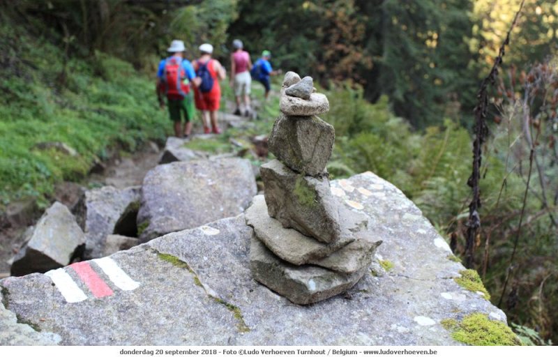 Walmendingerhorn - Abstieg W„ldele_2018-09-20_059.jpg