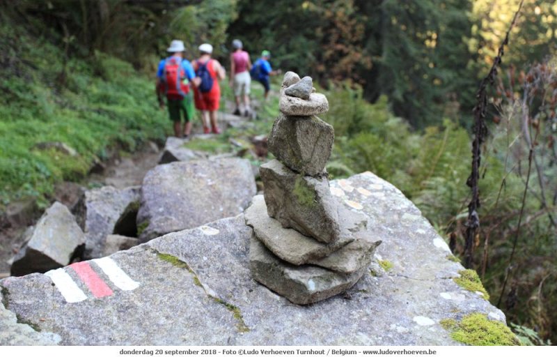 Walmendingerhorn - Abstieg Wldele_2018-09-20_059.jpg