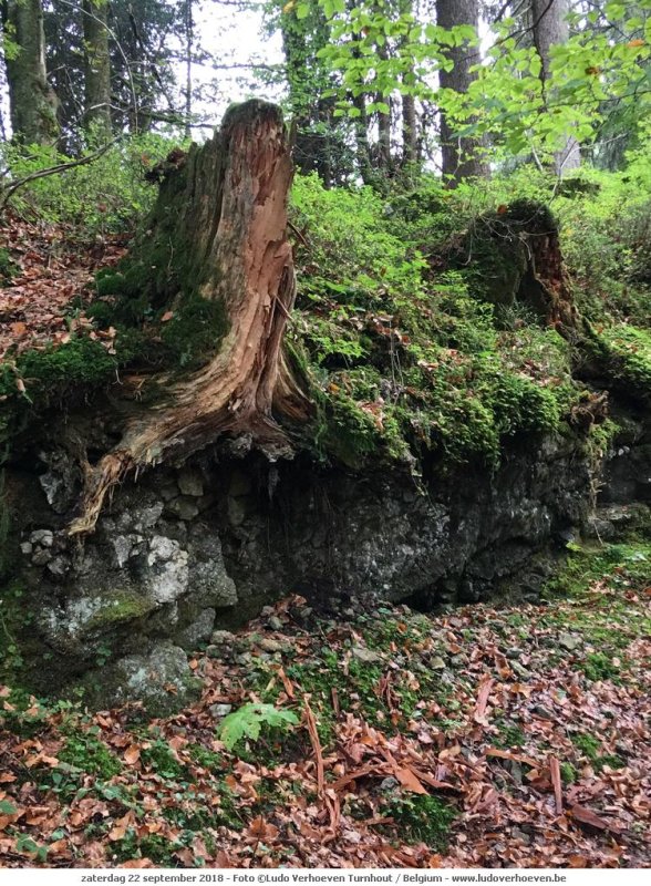 Dies und Das ins KleinWalserTal_2018-09-22_062.jpg