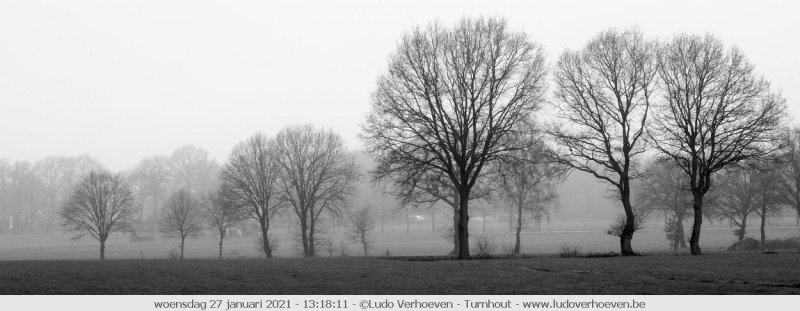 A foggy day