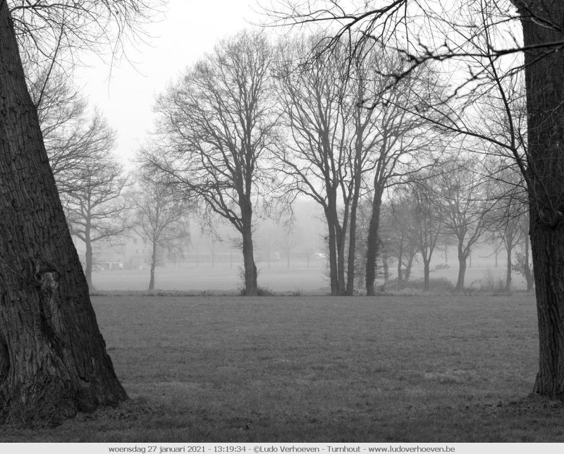 A foggy day
