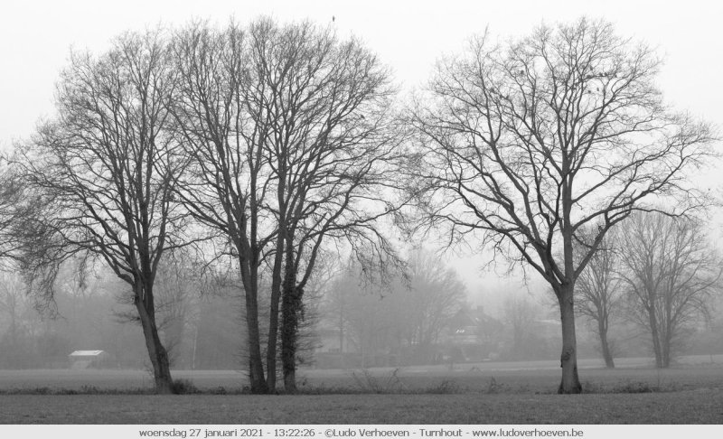 A foggy day