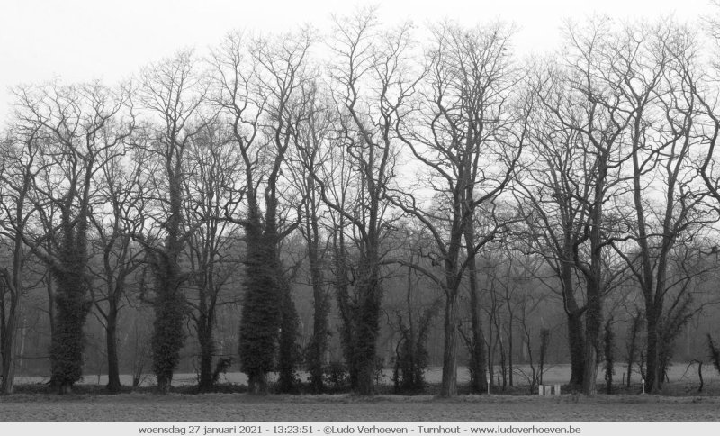 A foggy day