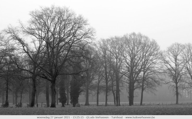 A foggy day