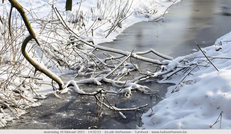 Frozen still life - Bevrozen stilleven