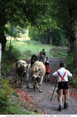 Viehscheid_2018-09-19_059.jpg