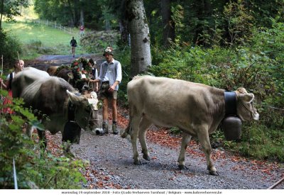 Viehscheid_2018-09-19_060.jpg