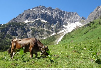 Kleinwalsertal 2016 - Wanderung ins Gemsteltal (10.6.2016)