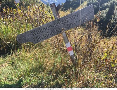 Walmendingerhorn - Abstieg Wldele_2018-09-20_034.jpg