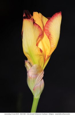 2019-05-15_210.jpg