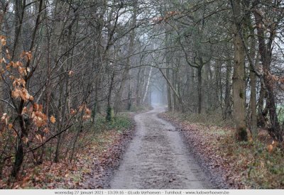 Turnhout Vennengebied