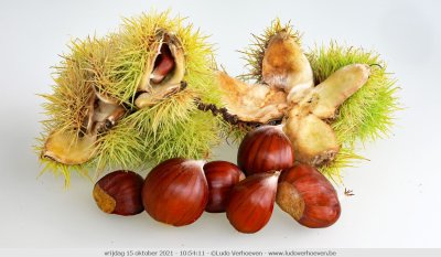 Still life with chestnuts