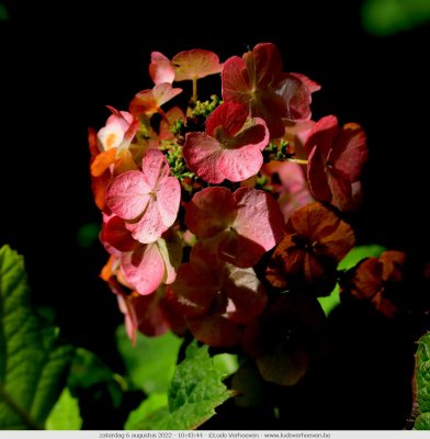 g12/83/3783/3/172849942.5w2beE0P.jpg