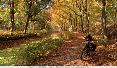 Herfstkleuren - Autumn colours - Herbstfarben - Couleurs d'automne 