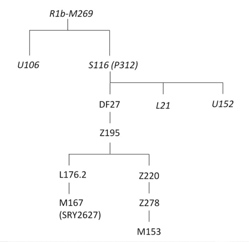 Boyt/Ballard M269 > U106 SNP