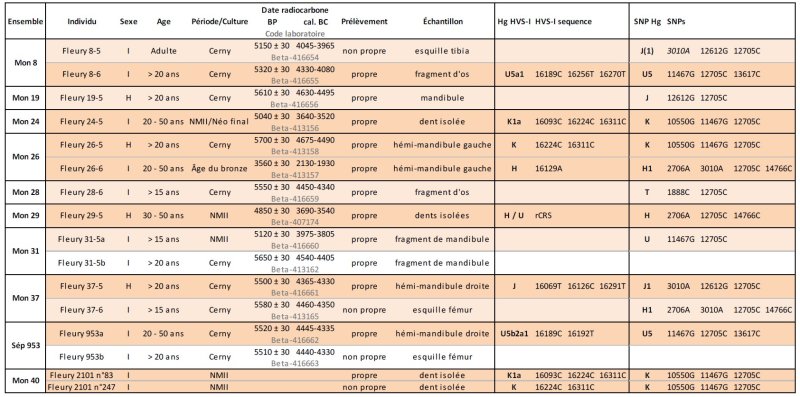 Boyt H2 FLR Results mtDNA