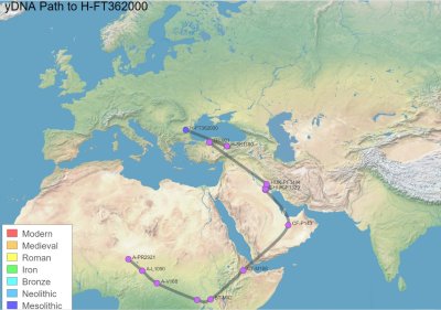 Ireland Ancient H2 YDNA FT362000 Track