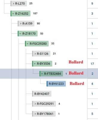 Ballard Group 1 BigY Branches:  R-BY3536 R-FTB32484 R-BY61223 R-BY137705