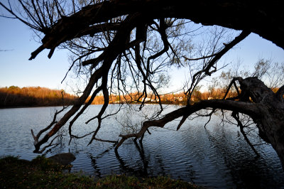 Parc du lac St-Augustin